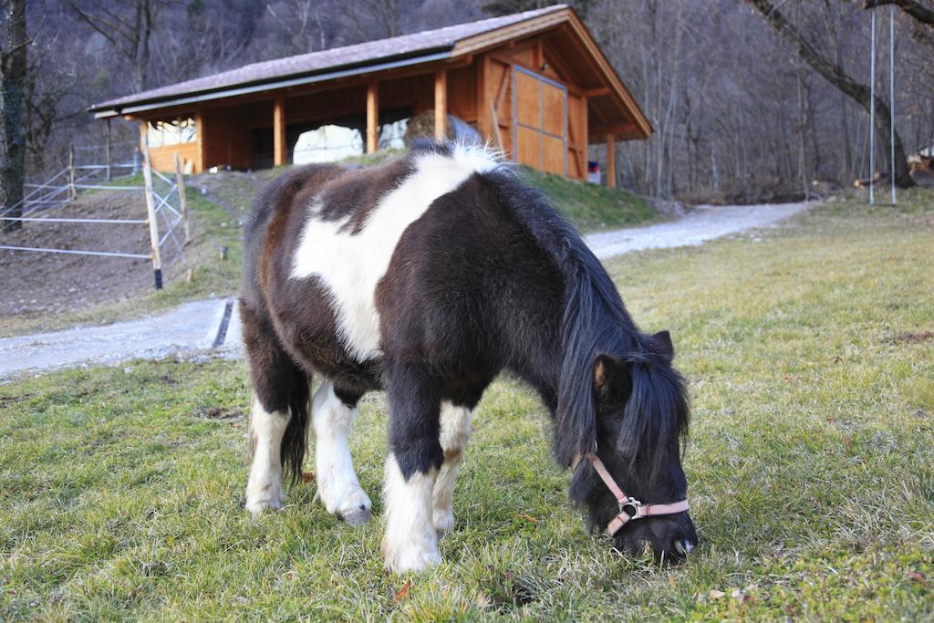 Agritur La Polentera Guest House Storo Eksteriør bilde